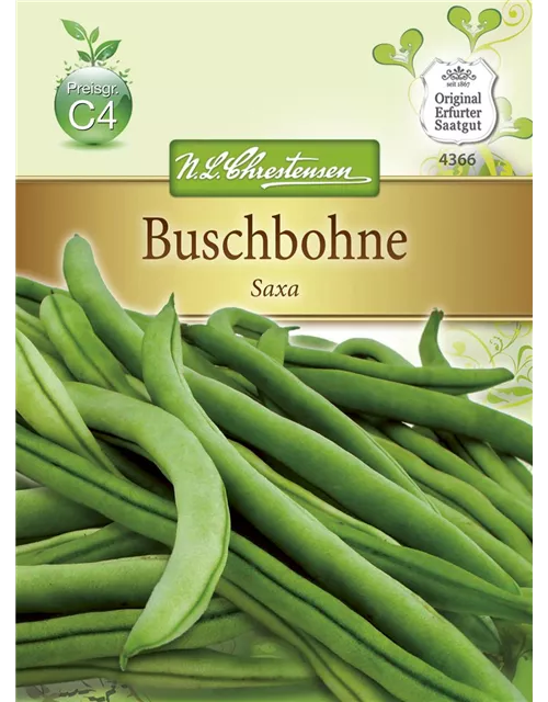 Buschbohnen 'Saxa'