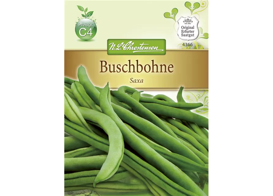 Buschbohnen 'Saxa'
