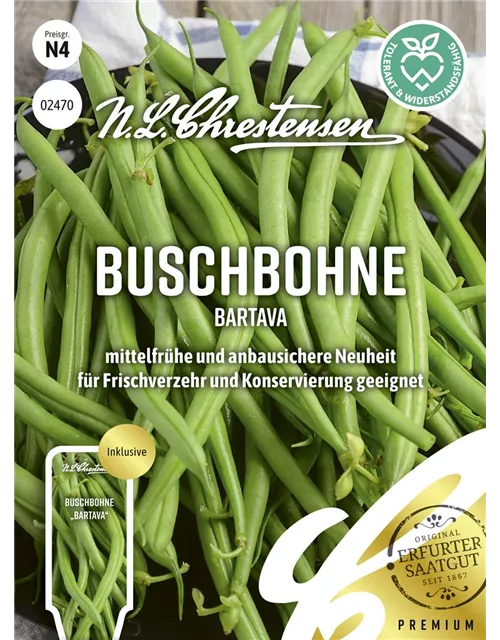 Buschbohnensamen 'Bartava'
