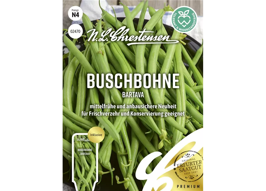 Buschbohnensamen 'Bartava'