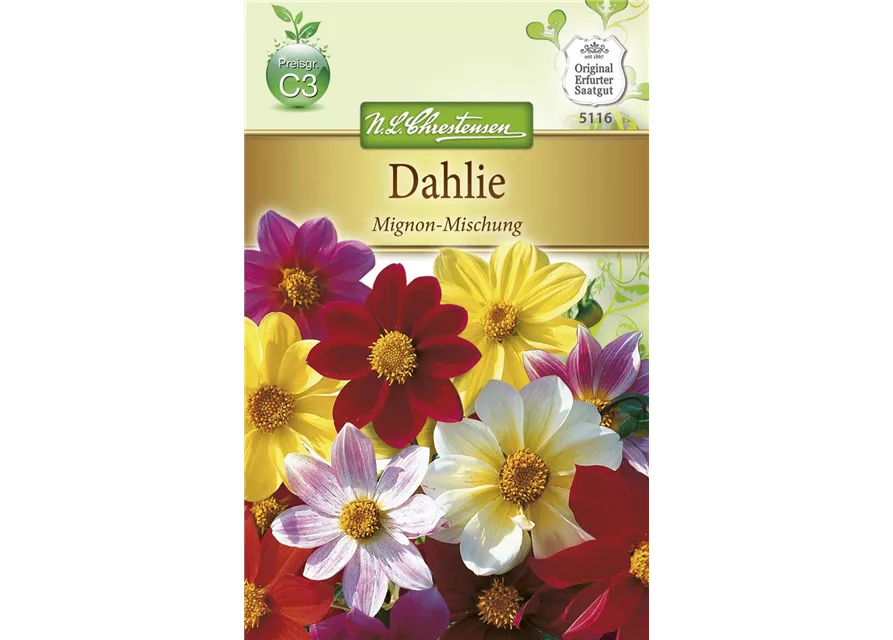 Dahliensamen 'Mignon'