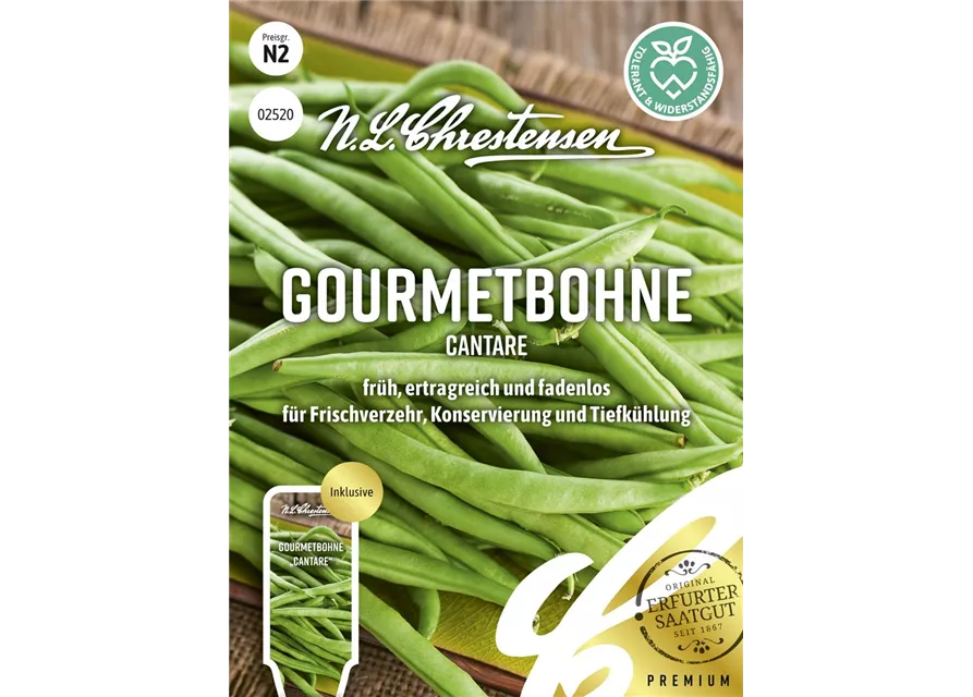 Buschbohnensamen 'Cantare'