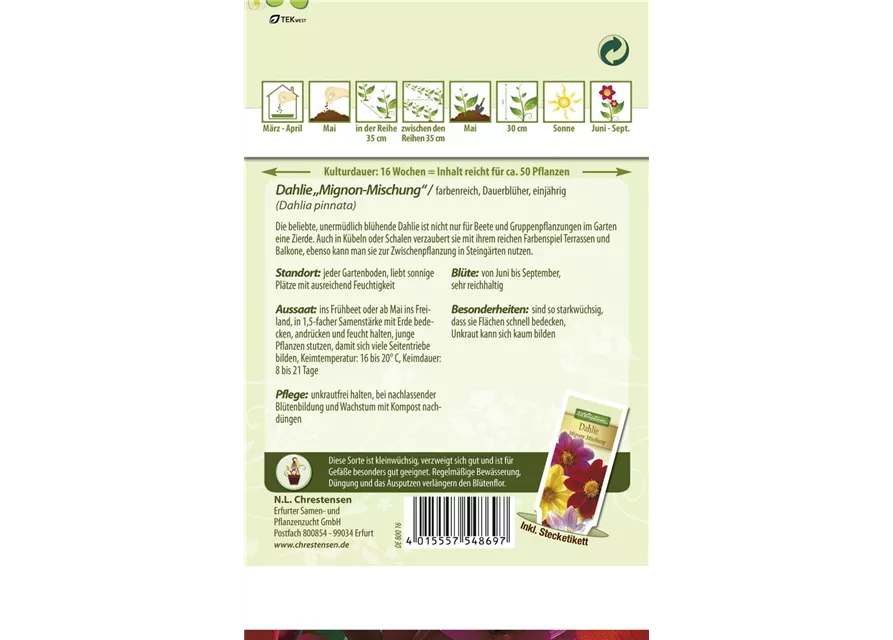 Dahliensamen 'Mignon'