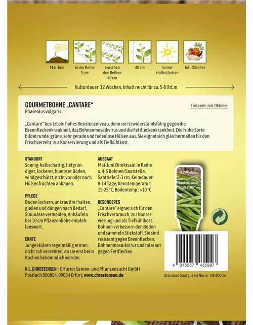 Buschbohnensamen 'Cantare'