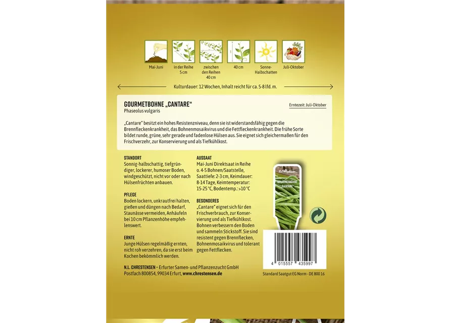 Buschbohnensamen 'Cantare'