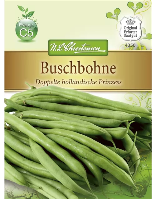Buschbohnensamen 'Doppelte holländische Prinzess'