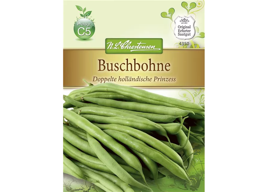 Buschbohnensamen 'Doppelte holländische Prinzess'