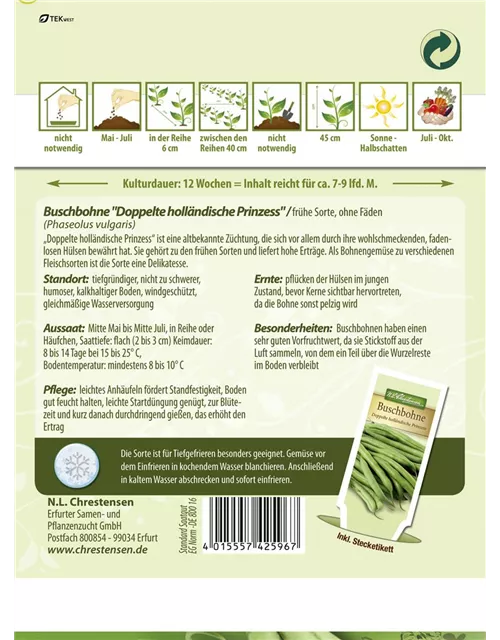 Buschbohnensamen 'Doppelte holländische Prinzess'