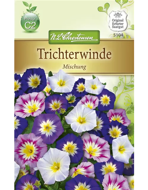Dreifarbige Winde-Samen