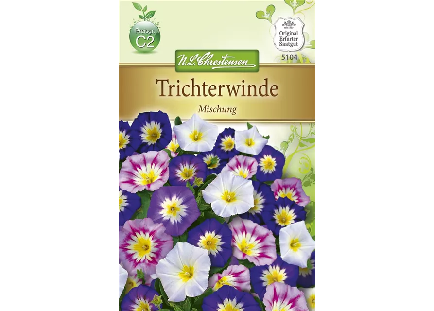 Dreifarbige Winde-Samen