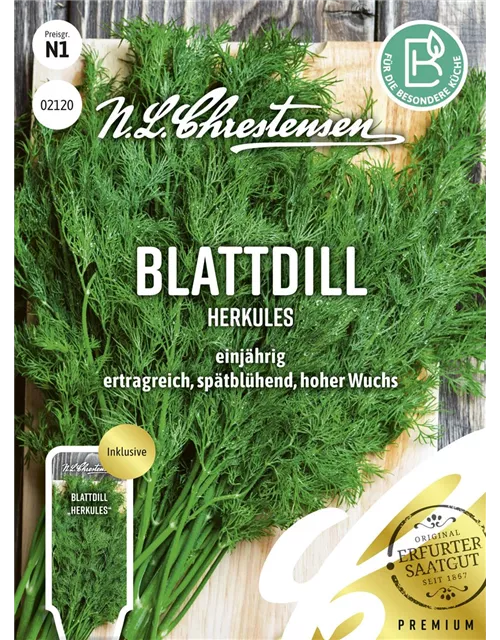 Dillsamen 'Herkules'