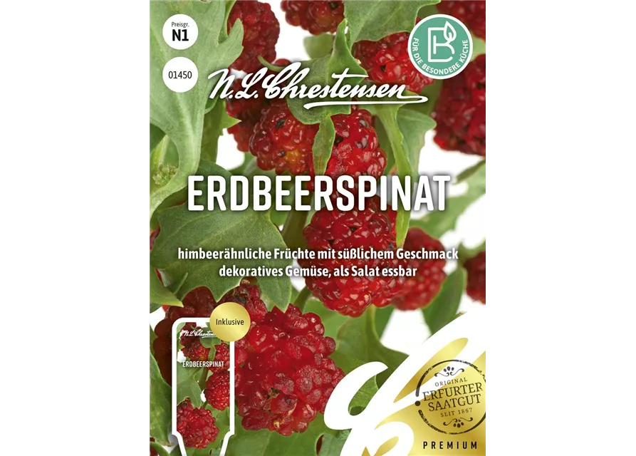 Echter Erdbeerspinat-Samen