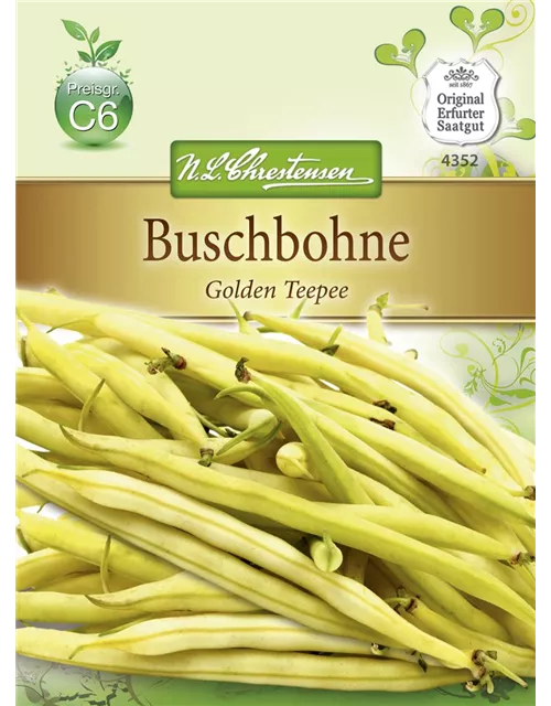 Buschbohnensamen 'Golden Teepee'