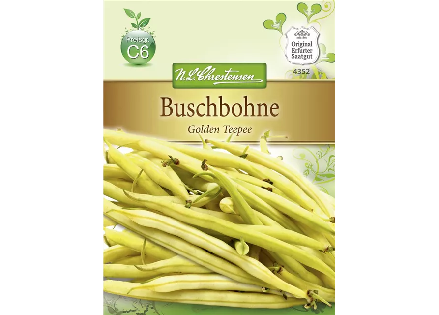 Buschbohnensamen 'Golden Teepee'