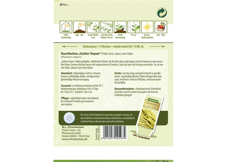 Buschbohnensamen 'Golden Teepee'