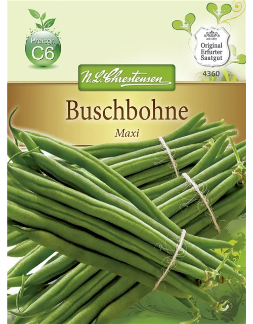 Buschbohnensamen 'Maxi'