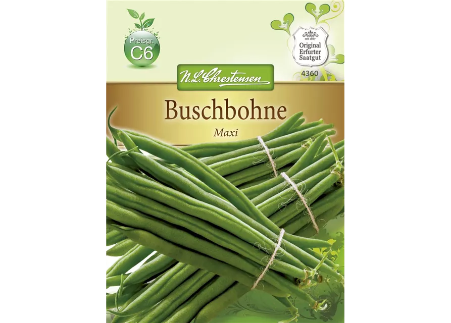 Buschbohnensamen 'Maxi'