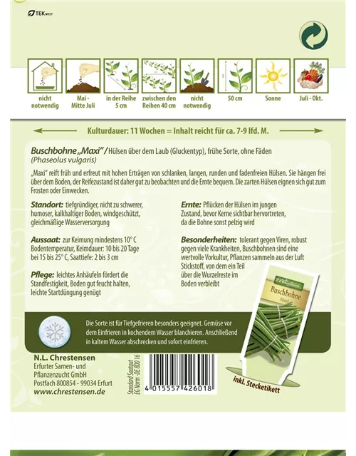 Buschbohnensamen 'Maxi'