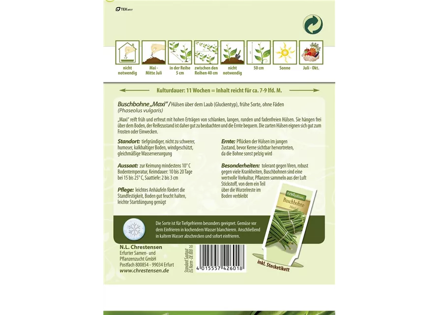 Buschbohnensamen 'Maxi'