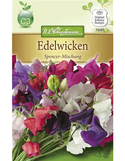 Duftwickensamen 'Spencer'