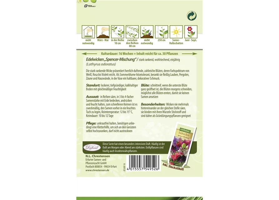 Duftwickensamen 'Spencer'