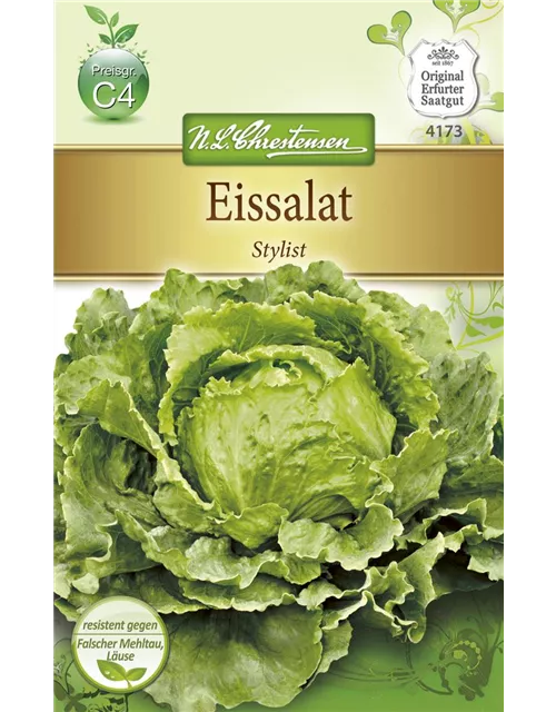 Eisbergsalatsamen 'Stylist'