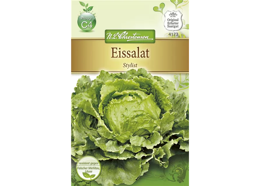 Eisbergsalatsamen 'Stylist'