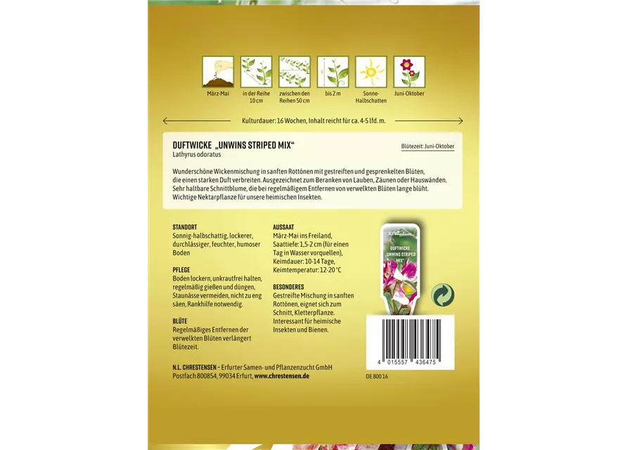 Duftwickensamen 'Unwins Striped'