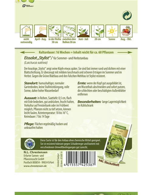 Eisbergsalatsamen 'Stylist'