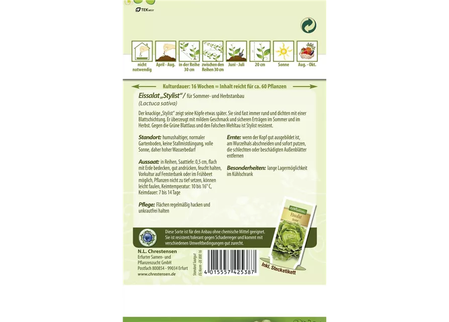 Eisbergsalatsamen 'Stylist'