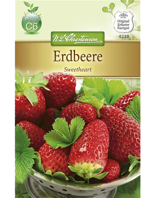 Erdbeersamen 'Sweetheart'