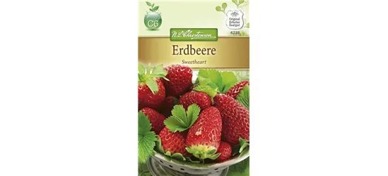 Erdbeersamen 'Sweetheart'