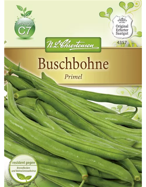 Buschbohnensamen 'Primel'