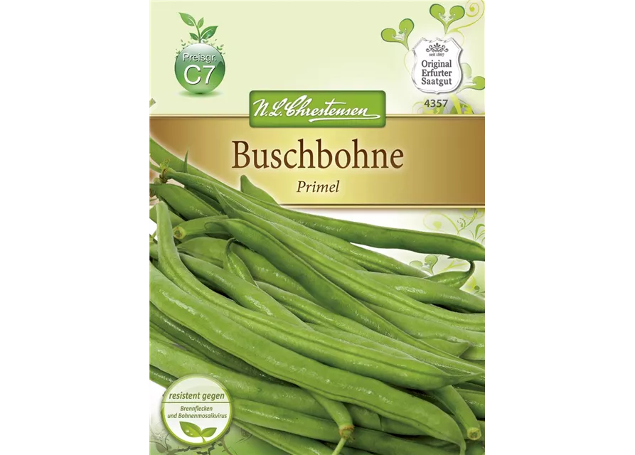 Buschbohnensamen 'Primel'