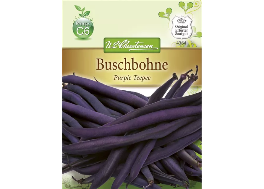 Buschbohnensamen 'Purple Teepee'