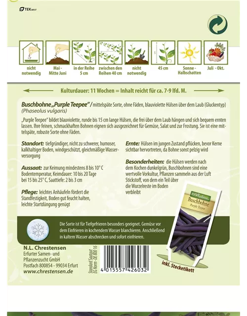 Buschbohnensamen 'Purple Teepee'