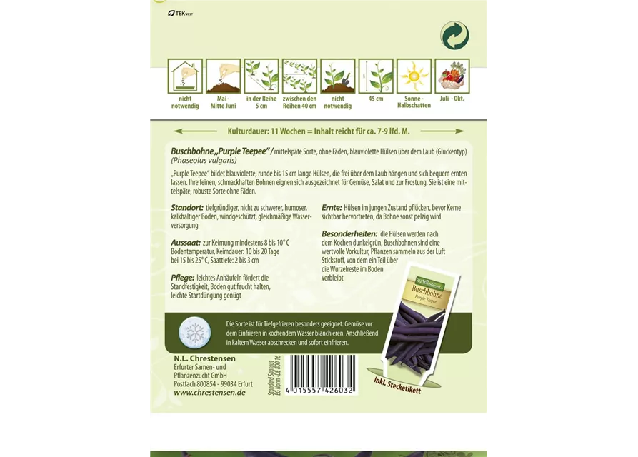 Buschbohnensamen 'Purple Teepee'