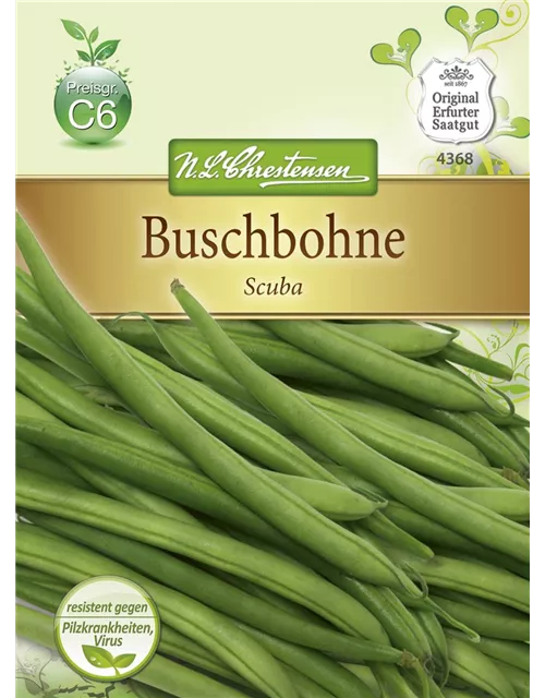 Buschbohnensamen 'Scuba'