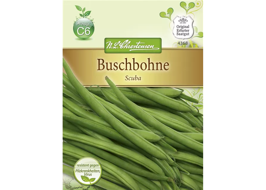 Buschbohnensamen 'Scuba'