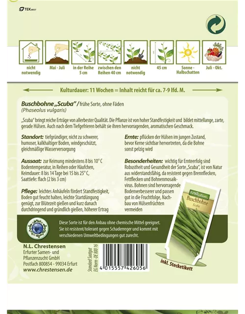 Buschbohnensamen 'Scuba'