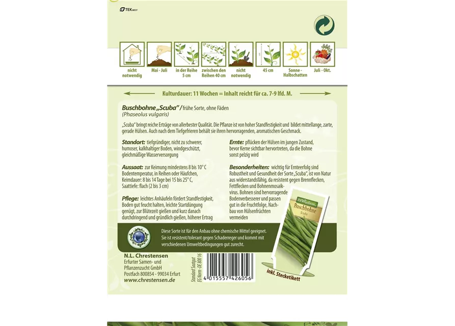 Buschbohnensamen 'Scuba'