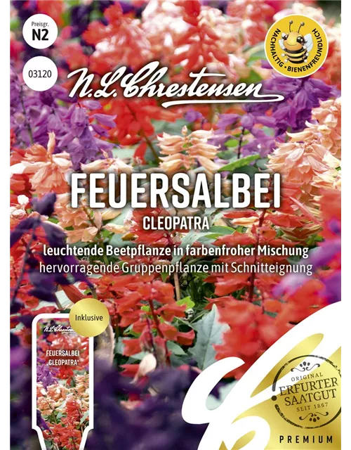 Feuersalbeisamen 'Cleopatra'