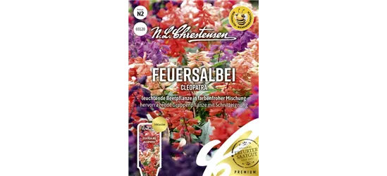 Feuersalbeisamen 'Cleopatra'