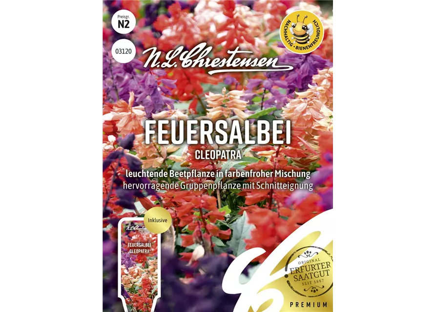 Feuersalbeisamen 'Cleopatra'