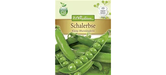 Erbsensamen 'Kleine Rheinländerin'