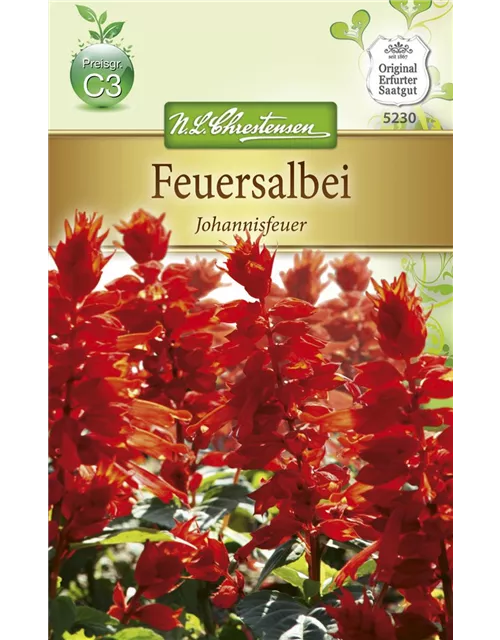Feuersalbeisamen 'Johannisfeuer'