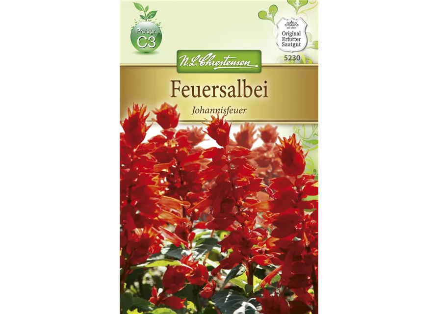 Feuersalbeisamen 'Johannisfeuer'