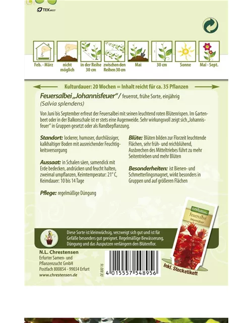 Feuersalbeisamen 'Johannisfeuer'