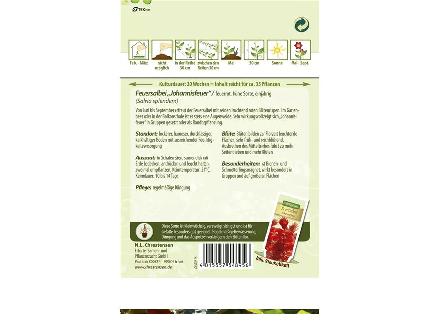 Feuersalbeisamen 'Johannisfeuer'
