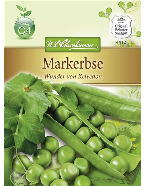 Erbsensamen 'Wunder von Kelvedon'